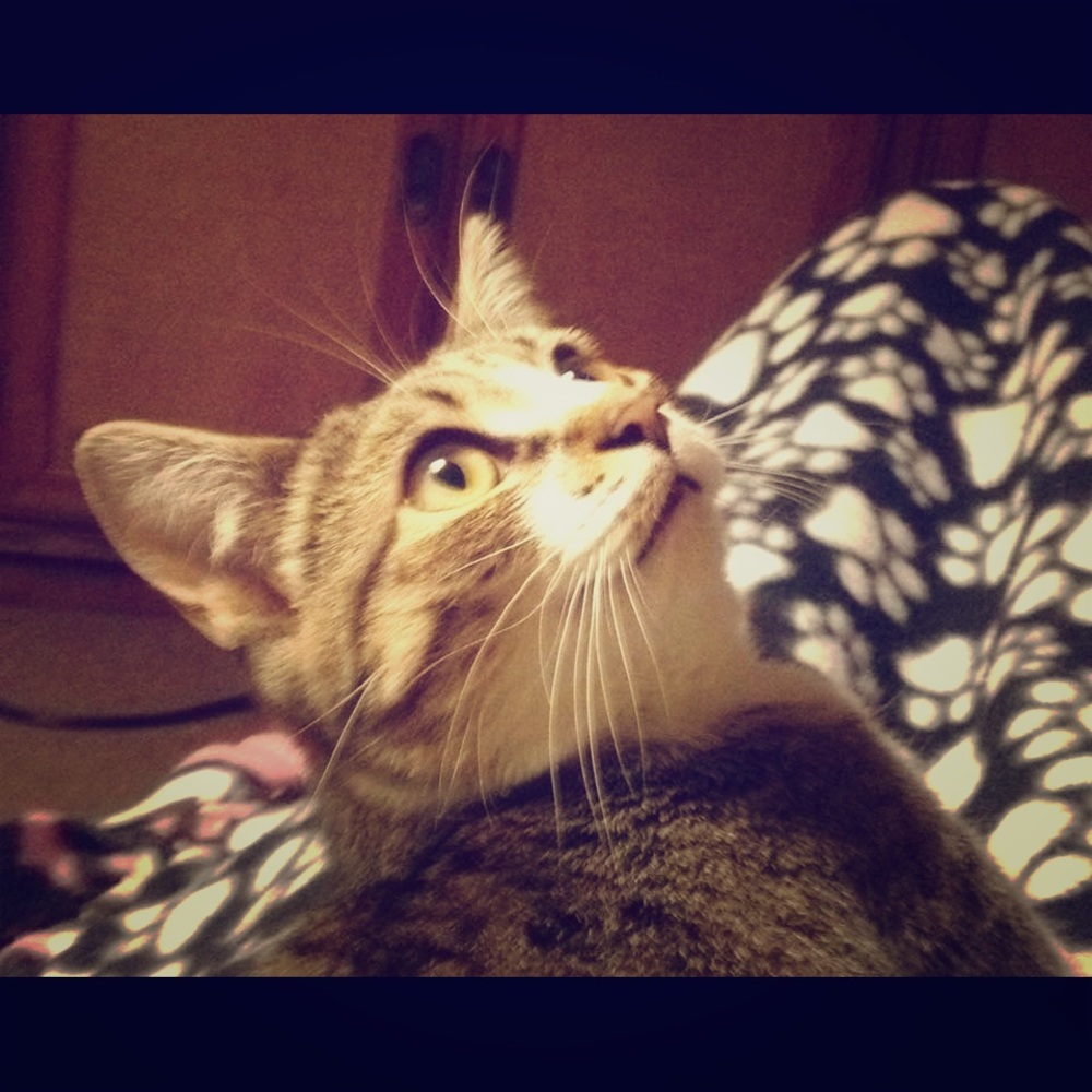 Meet your Posher, Laura